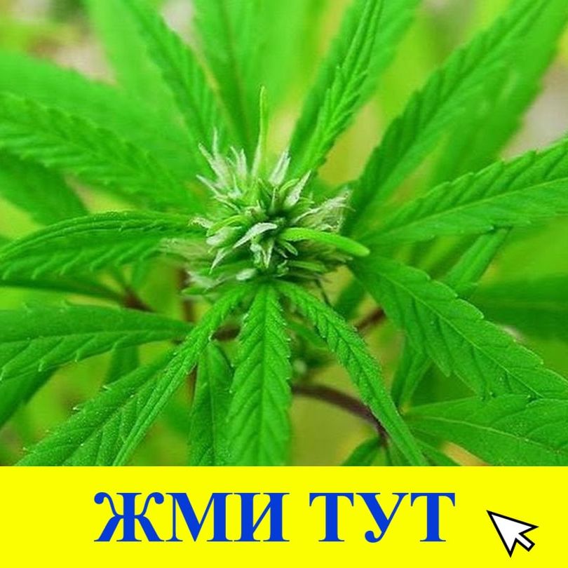 Купить наркотики в Кыштыме